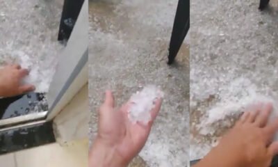 GRANIZO EM PINHAL