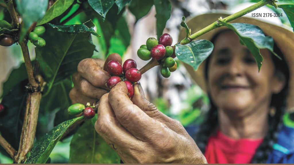 Universidade do Café Brasil divulga Caderno – Vol. 12 referente à pesquisa “Desequilíbrio de gênero no agronegócio café”