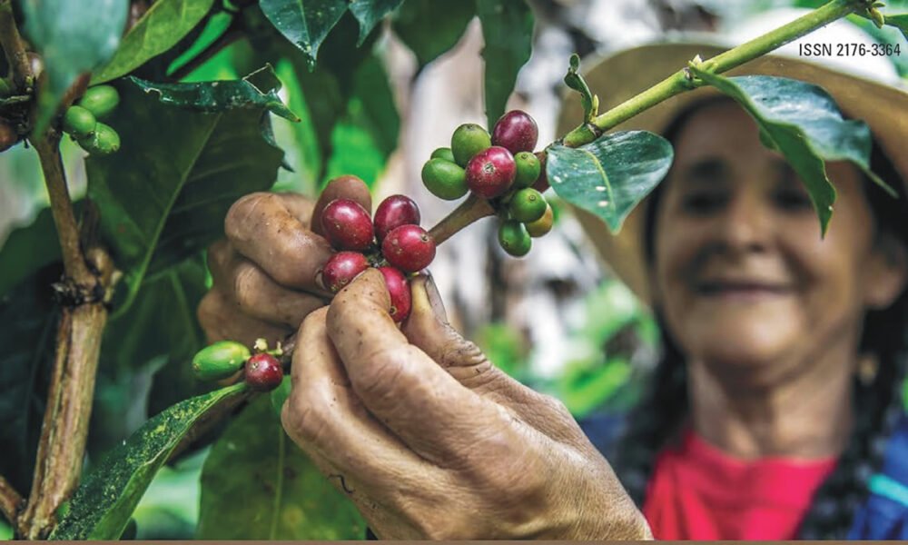 Universidade do Café Brasil divulga Caderno – Vol. 12 referente à pesquisa “Desequilíbrio de gênero no agronegócio café”