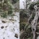 Primeira neve de 2022 é registrada em Santa Catarina; veja vídeos e fotos
