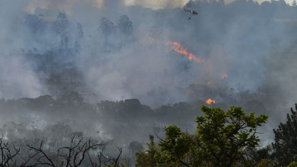 Decreto suspende queimadas em todo território nacional