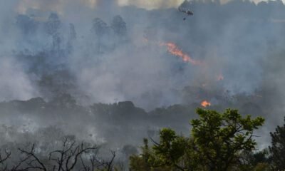 Decreto suspende queimadas em todo território nacional