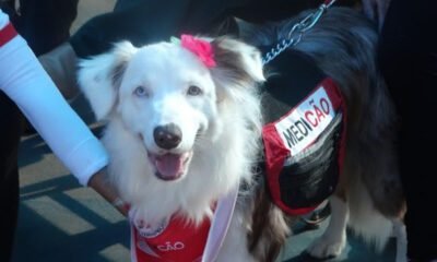 ROYAL CANIN® ️apoia Projeto de 'Cães Terapeutas'