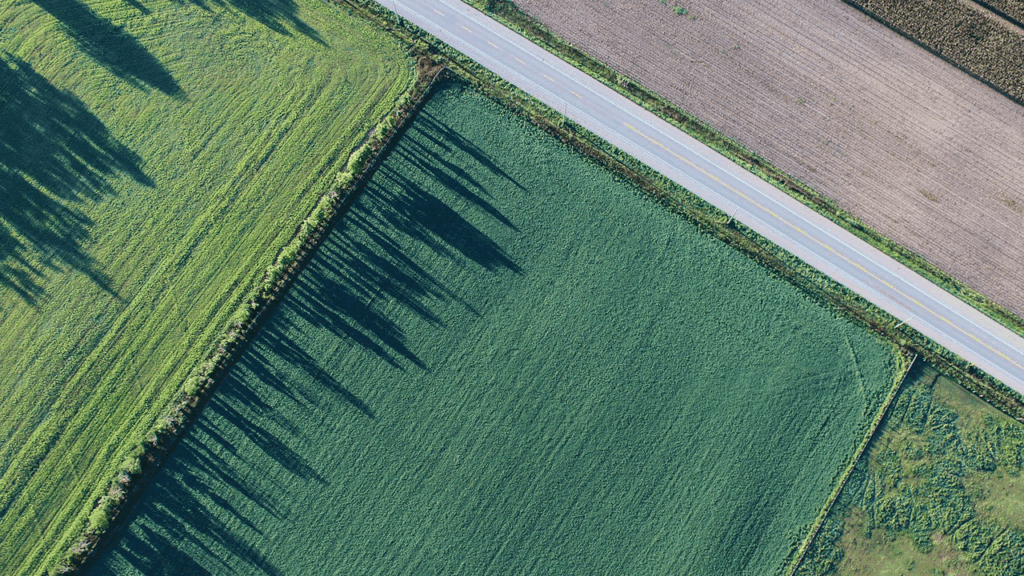 Começa em agosto prazo para declarar imposto sobre propriedade rural