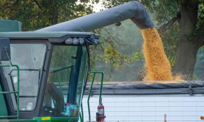 Safra recorde de grãos é oportunidade para Brasil ampliar participação no mercado agrícola internacional, avaliam especialistas
