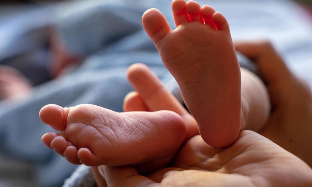 Mais de 17 mil crianças não receberam o nome do pai em 2022 no estado de SP