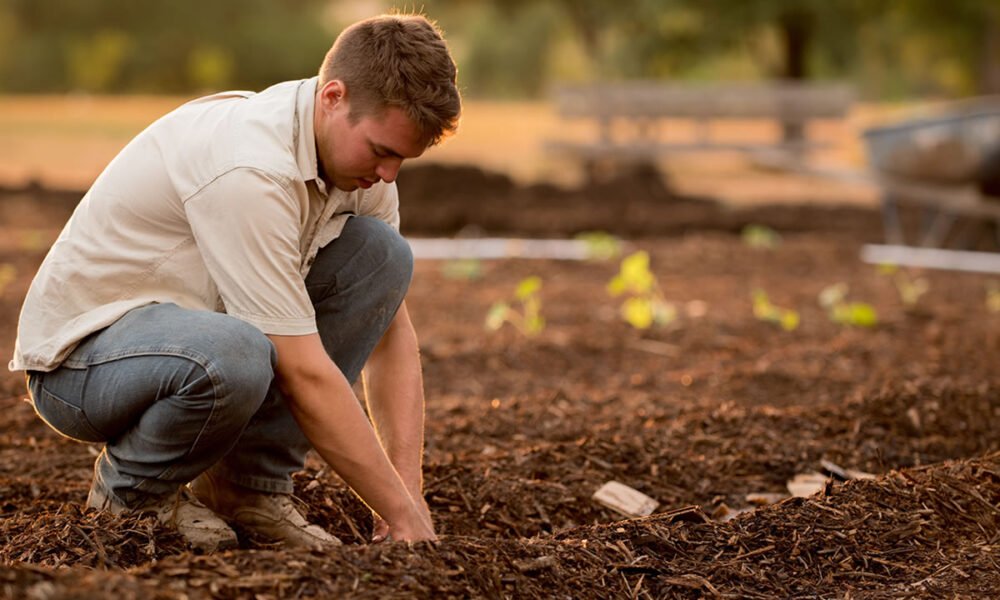 Agricultores já contam com perfil personalizado na plataforma gov.br