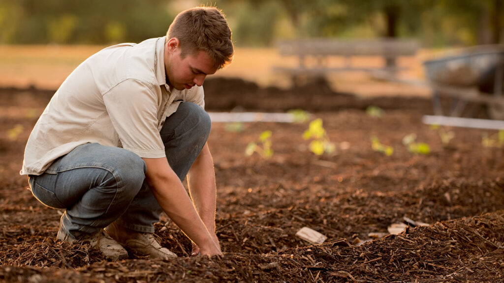 Agricultores já contam com perfil personalizado na plataforma gov.br