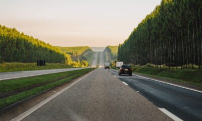 Uso do celular é o que mais incomoda motoristas, revela levantamento da CCR para a Semana Nacional de Trânsito