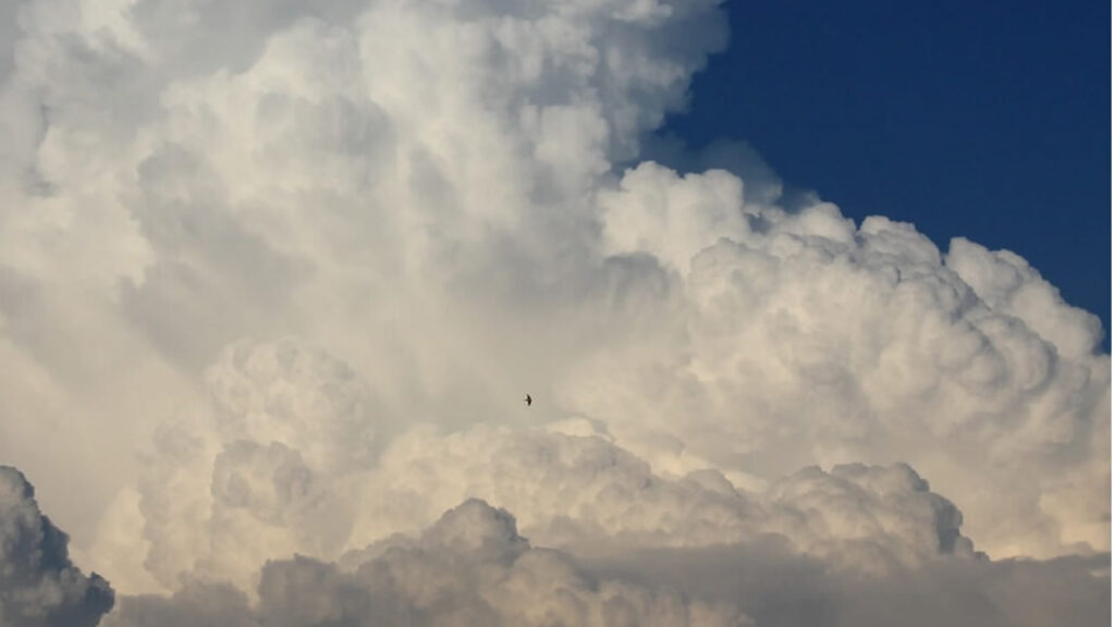 Clima para amanhã em Campinas