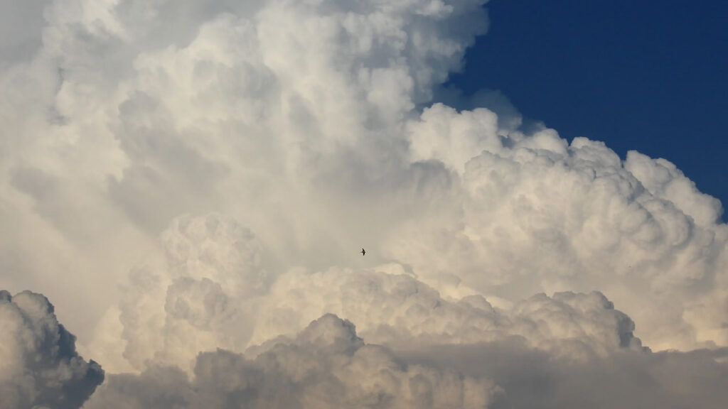 Clima para amanhã em Espírito Santo do Pinhal