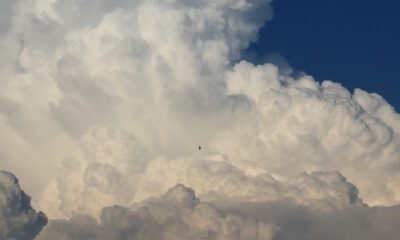 Clima para amanhã em Espírito Santo do Pinhal