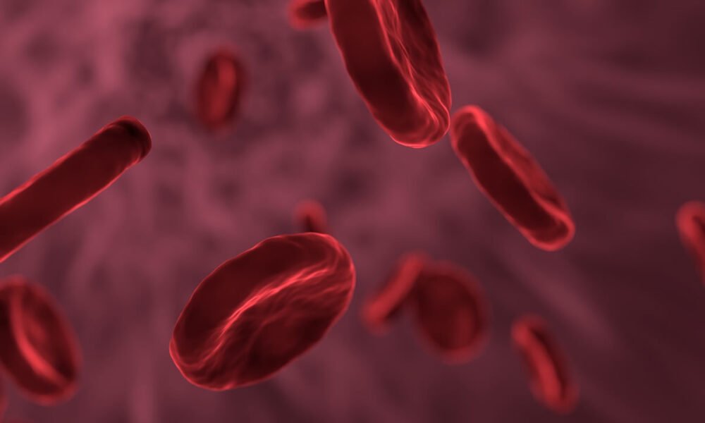 Estudo indica que anticoagulante inibe replicação do vírus da covid