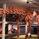 exposição mostra réplica do maior dinossauro do mundo