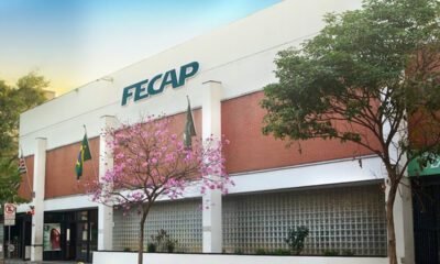 ECAP-oferece-34-cursos-livres-online-para-dar-um-up-no-curriculo