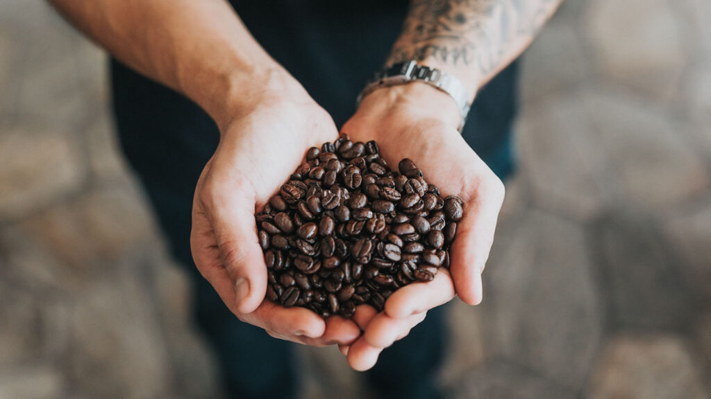 Semana Internacional do Café (SIC) premiação elege melhores cafés do Brasil