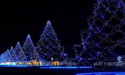 Árvores de luzes natalinas ao ar livre