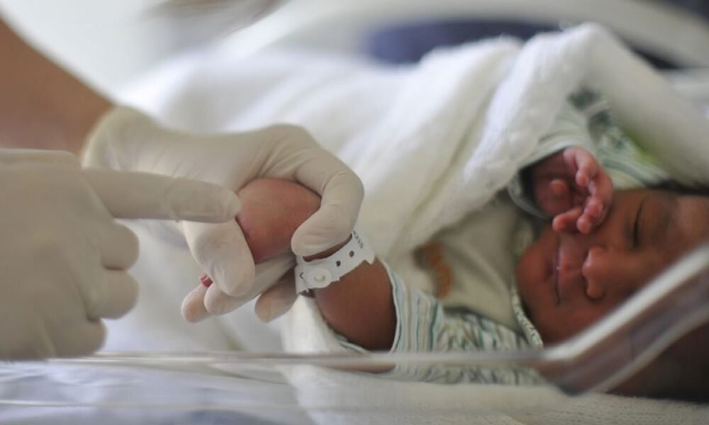 Helena e Miguel lideram ranking de nomes de bebês em 2022