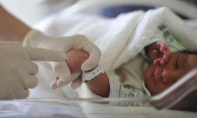 Helena e Miguel lideram ranking de nomes de bebês em 2022