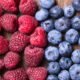 Frutas vermelhas paulistas são projeto da CATI Regional Campinas