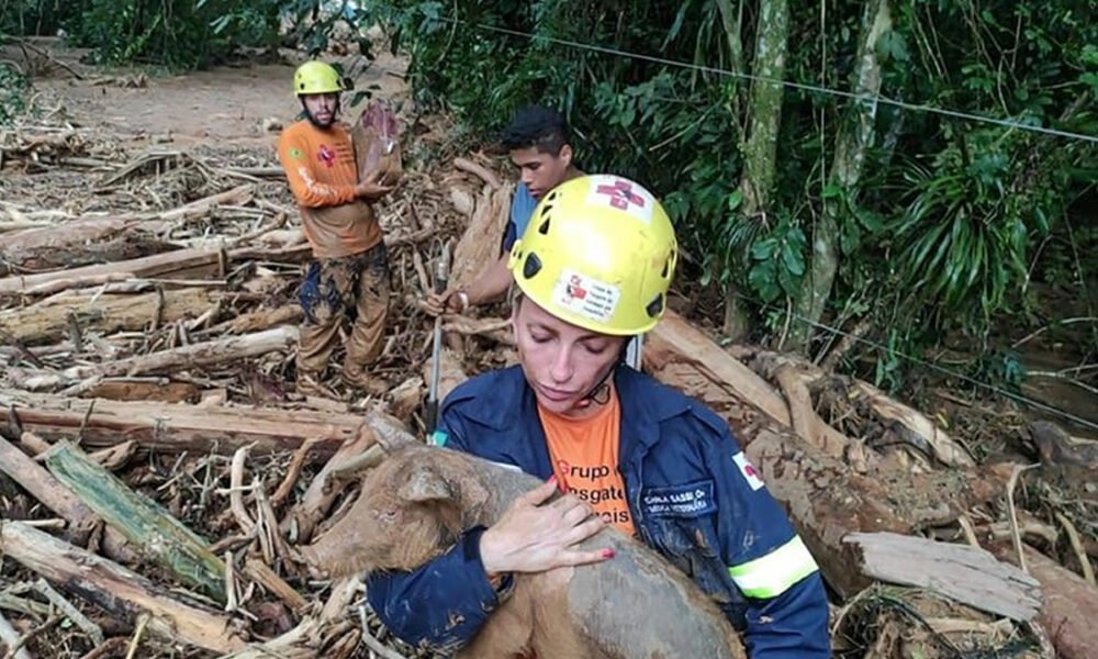 Voluntários seguem com trabalhos para resgate de animais no Litoral Norte