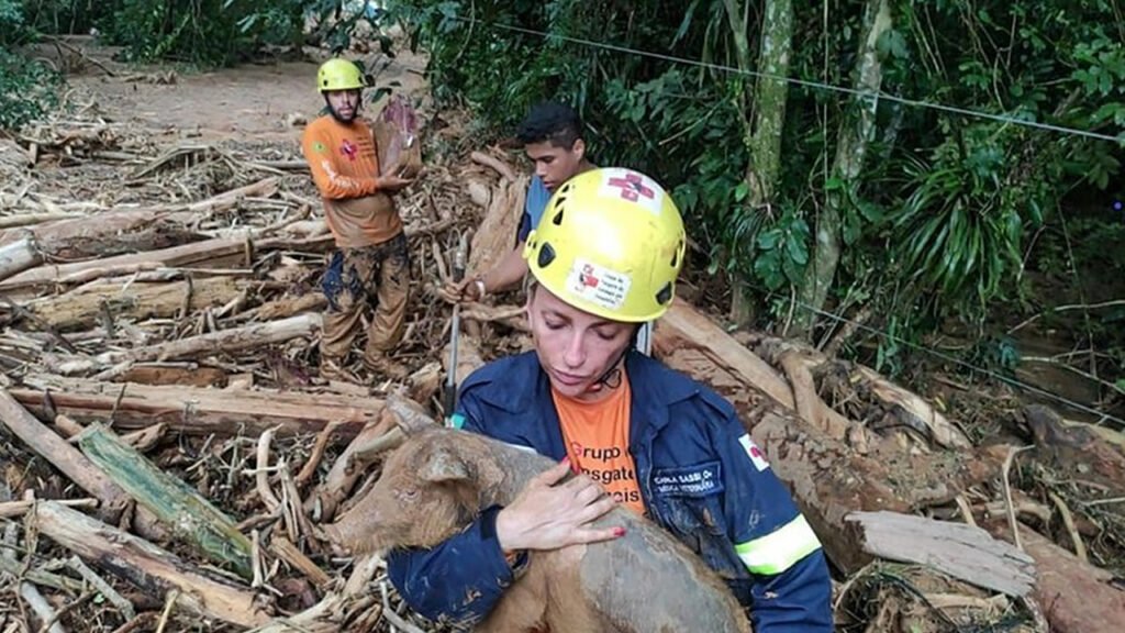 Voluntários seguem com trabalhos para resgate de animais no Litoral Norte