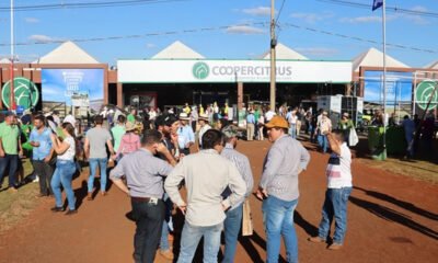 Cafeicultores encontram suporte completo no estande da Coopercitrus na Agrishow