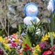 Holambra – sede da Expoflora, traz as principais tendências em flores e plantas para o “Dia das Mães” – uma das principais datas do segmento