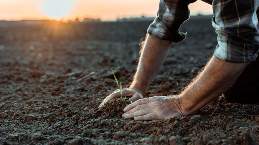 Interior de SP lidera desenvolvimento de produção de biofertilizantes