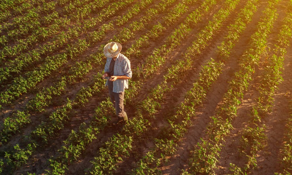 Produtores rurais de São João da Boa Vista e região podem se inscrever em programa gratuito de aumento de faturamento