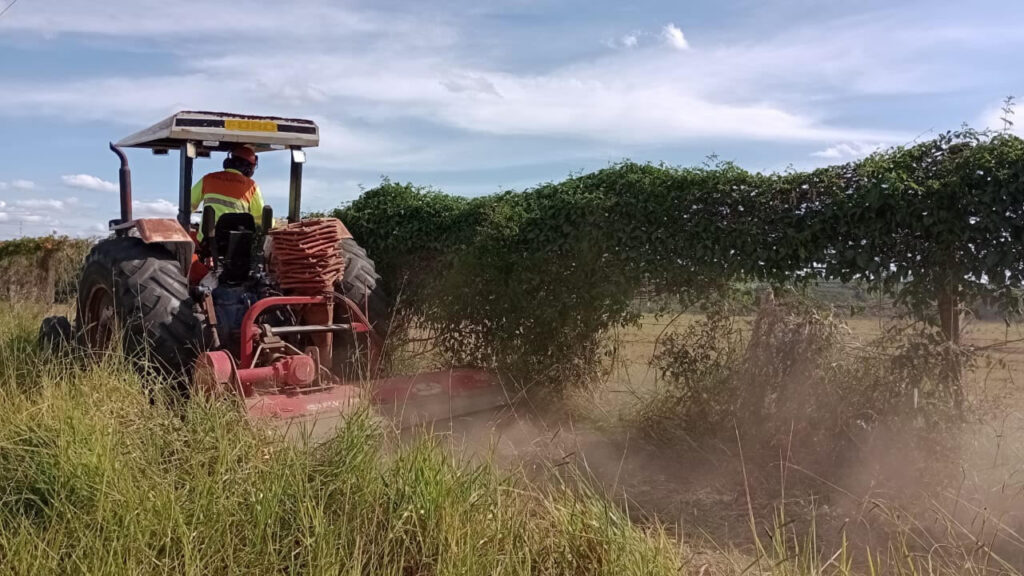 Renovias intensifica trabalho de manutenção de aceiros para evitar expansão de focos de incêndio