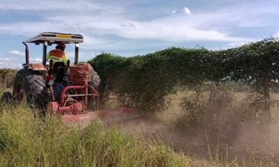 Renovias intensifica trabalho de manutenção de aceiros para evitar expansão de focos de incêndio