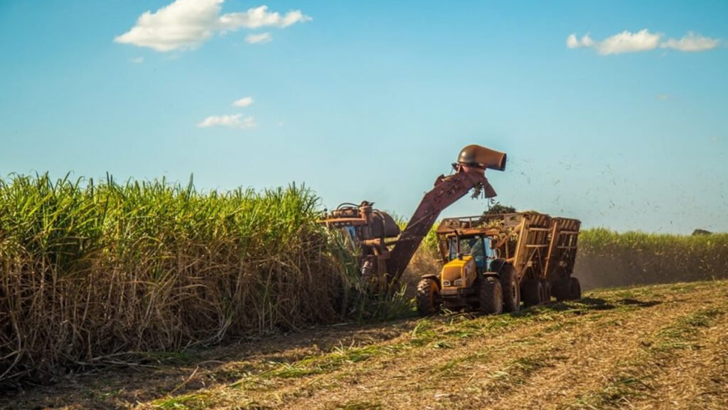 Agronegócio paulista registra US$ 8 bilhões de superávit em cinco meses