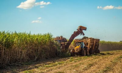 Agronegócio paulista registra US$ 8 bilhões de superávit em cinco meses