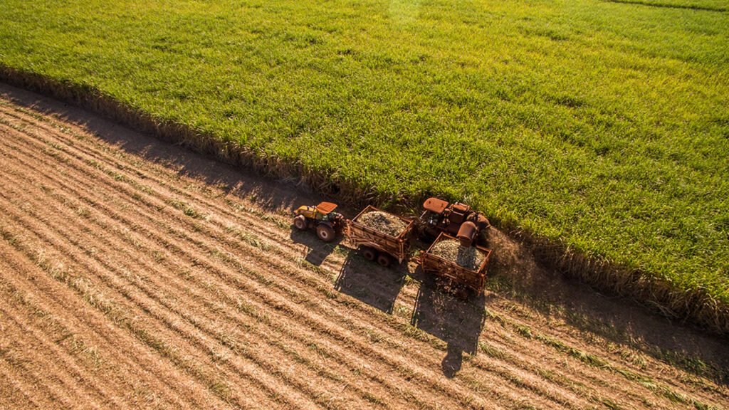 Agronegócio paulista volta a criar empregos e tem melhor abril dos últimos quatro anos