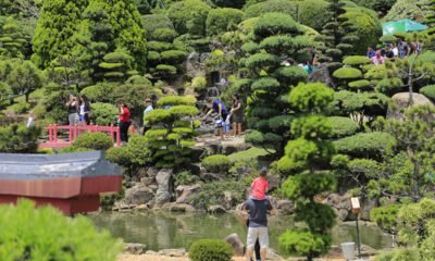 Crianças em férias Parque Maeda é opção de passeio neste mês de julho