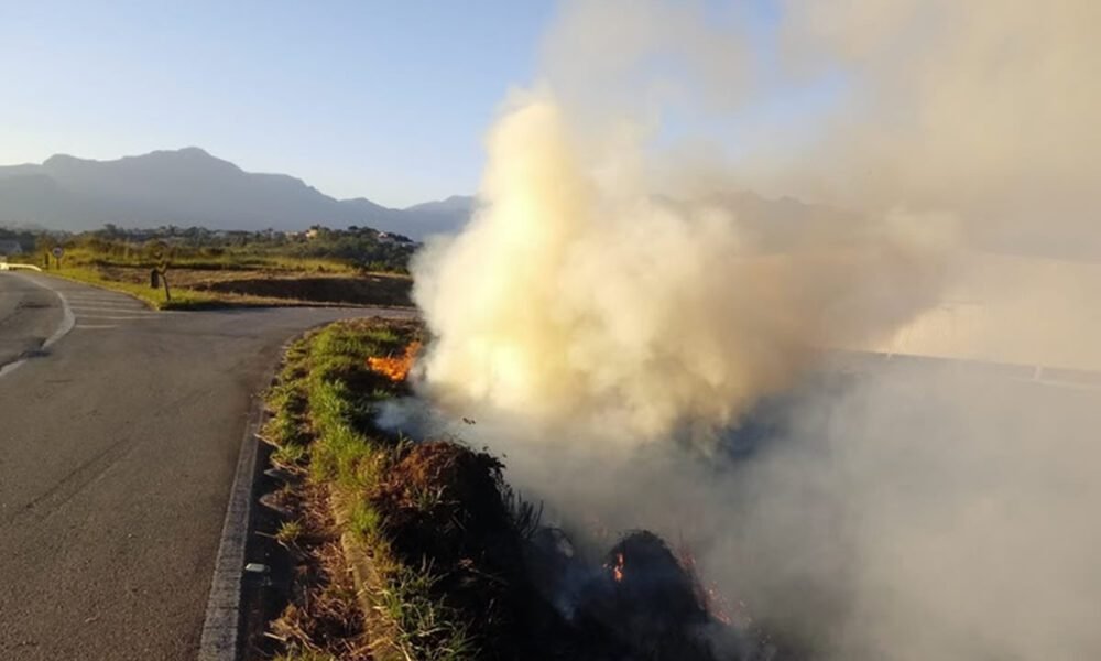 SP Sem Fogo: atenção redobrada para o risco de incêndios florestais