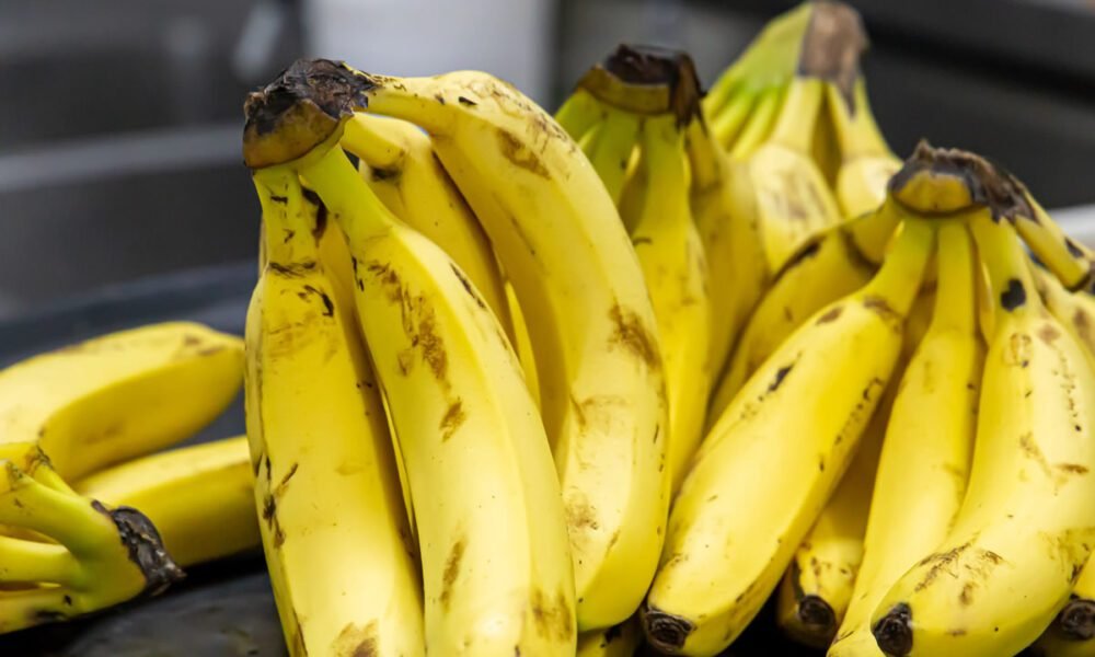 Líder nacional, o Estado de São Paulo é responsável por 26% da banana produzida no Brasil