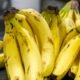 Líder nacional, o Estado de São Paulo é responsável por 26% da banana produzida no Brasil