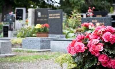 Dia de Finados pode ouvir musica Uma reflexão sobre a tradição e o luto