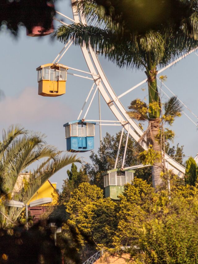 Hopi Hari oferece entrada gratuita para mulheres em março!