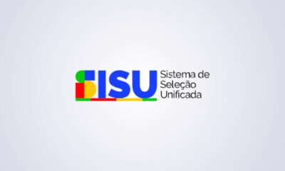 Sisu