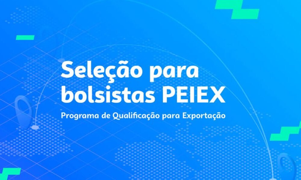 Sebrae-SP abre inscrições para seleção de monitores e técnicos no PEIEX com bolsas de até R$ 6.912,25