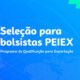 Sebrae-SP abre inscrições para seleção de monitores e técnicos no PEIEX com bolsas de até R$ 6.912,25