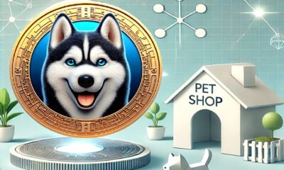 Criptomoeda HexyDog e o mercado pet